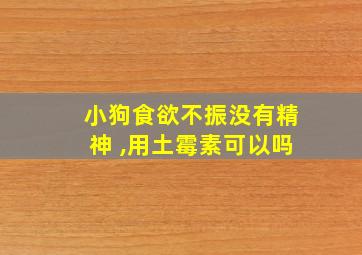 小狗食欲不振没有精神 ,用土霉素可以吗